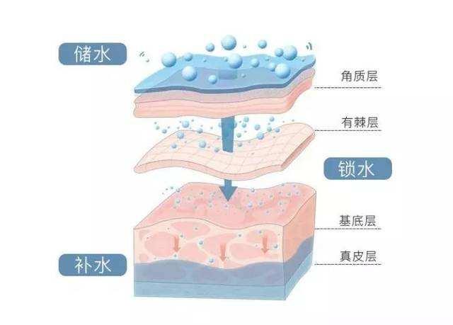 2岁宝宝脸发黄还有皮肤不均匀,宝宝快两岁了宝妈脸上有斑