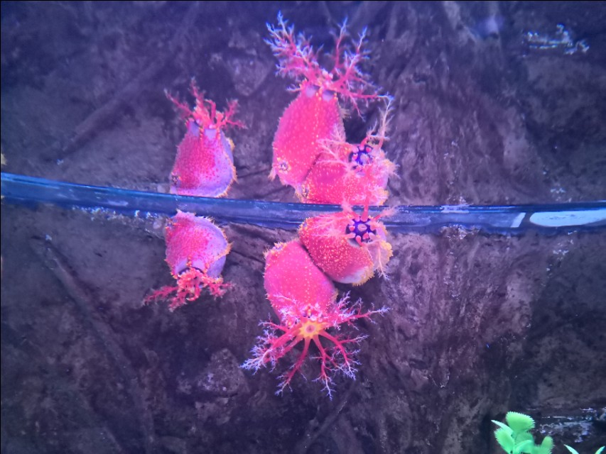 北京工体富国海底世界周一营业,北京工体富国海底世界旅馆