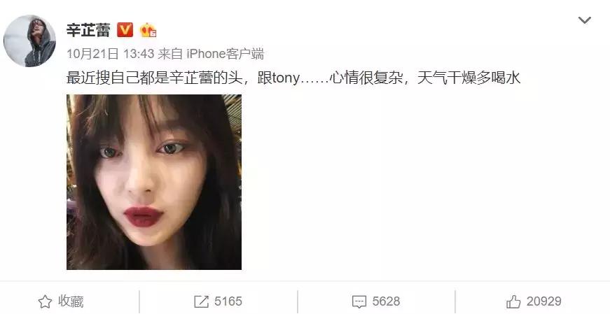 脸大合适辛芷蕾发型么,辛芷蕾中长锁骨发层次发型图片