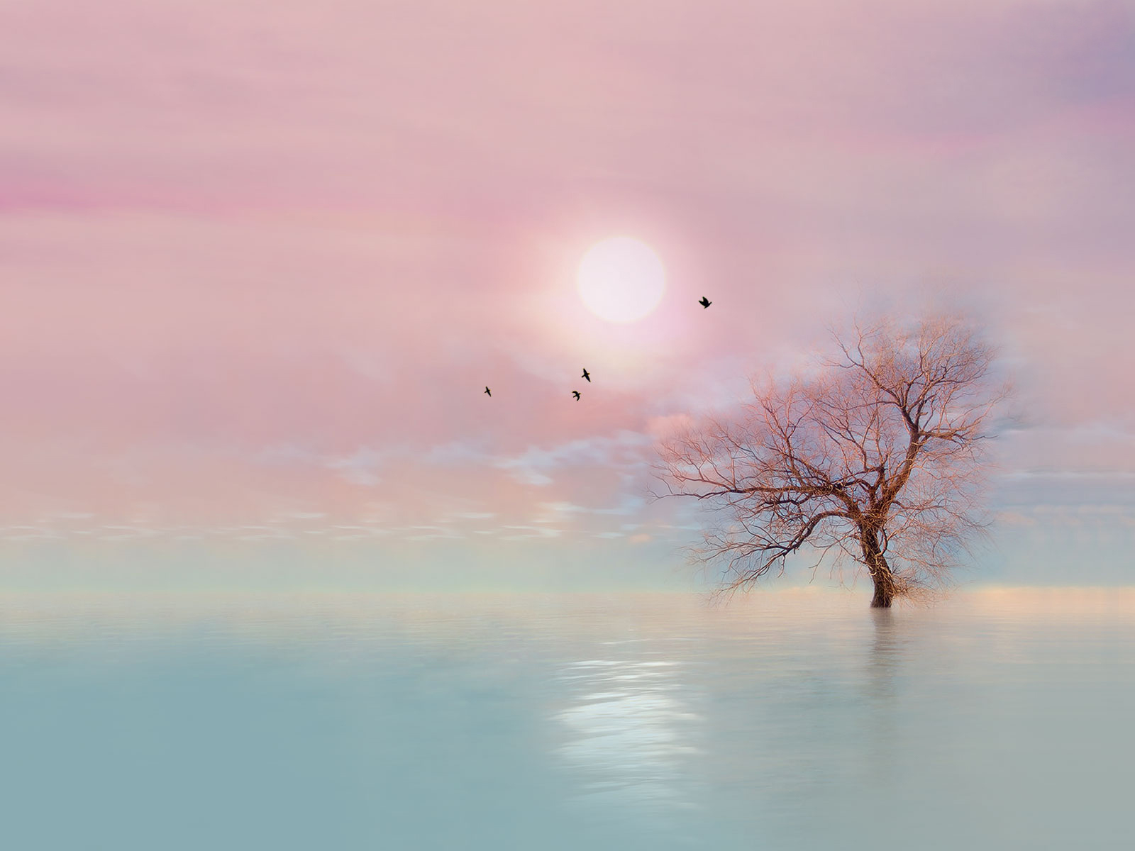 期货被骗能追回吗,炒期货被骗能追回来吗
