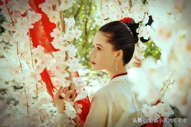 古言兄妹情深的小说,古言姐弟高质量耐看的小说推荐