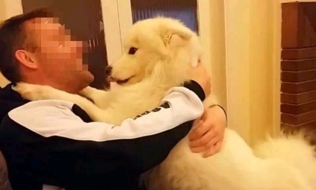 女子受伤被狗舔截肢,被狗舔过截肢事件