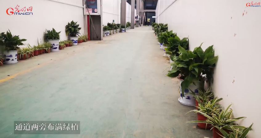 新冠肺炎治疗费多少钱,新冠肺炎医疗费