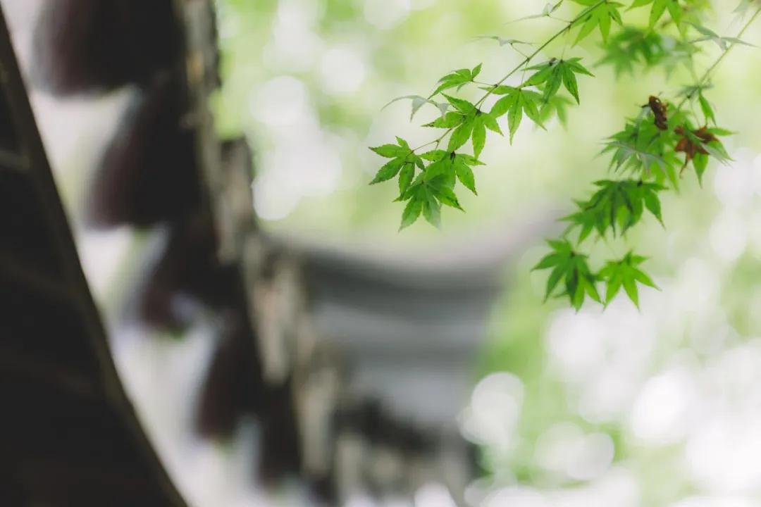 惊艳千年的四十句诗,这些诗句超美却很冷门鲜有人知