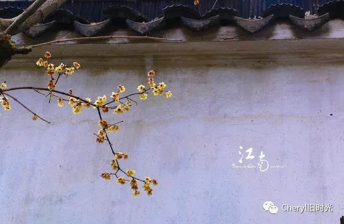 苏州旅游值得去的景点,去苏州旅游攻略最好的景点