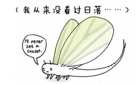 鳝鱼冷知识,冷知识第二季完全