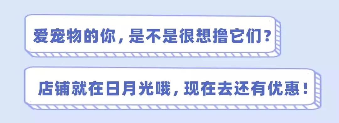39.9元羊驼,羊驼门票抖音团购