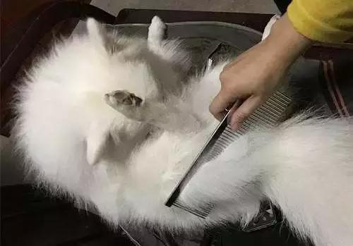 儿童春季咳嗽有痰最快解决方法,春季过敏咳嗽怎么办最有效的方法