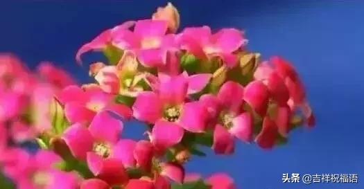 父亲节送给父亲什么礼物最好,父亲节一首好听的歌送给父亲