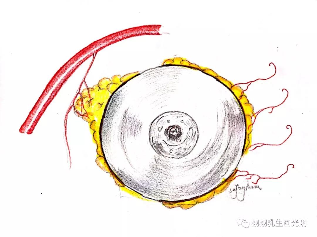 最贵的房子内部图片,最贵的房子内部