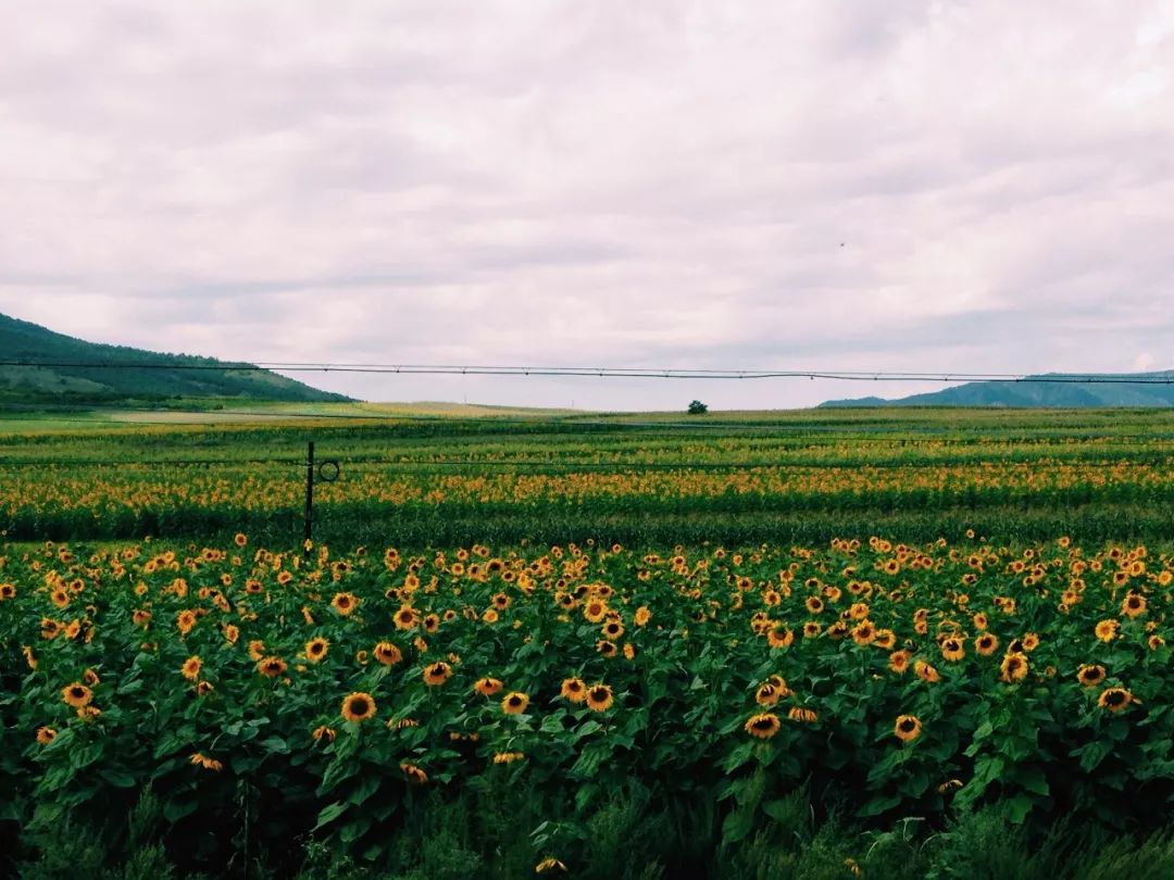 中国哪里还有绿皮火车,中国哪个城市绿皮火车最多