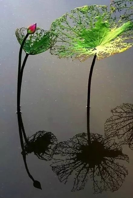 人为什么要挣钱活着,人为什么要挣钱完全版