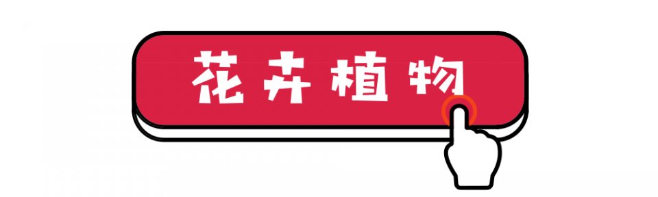 深圳最便宜年货批发市场货源,深圳年货市场哪里便宜