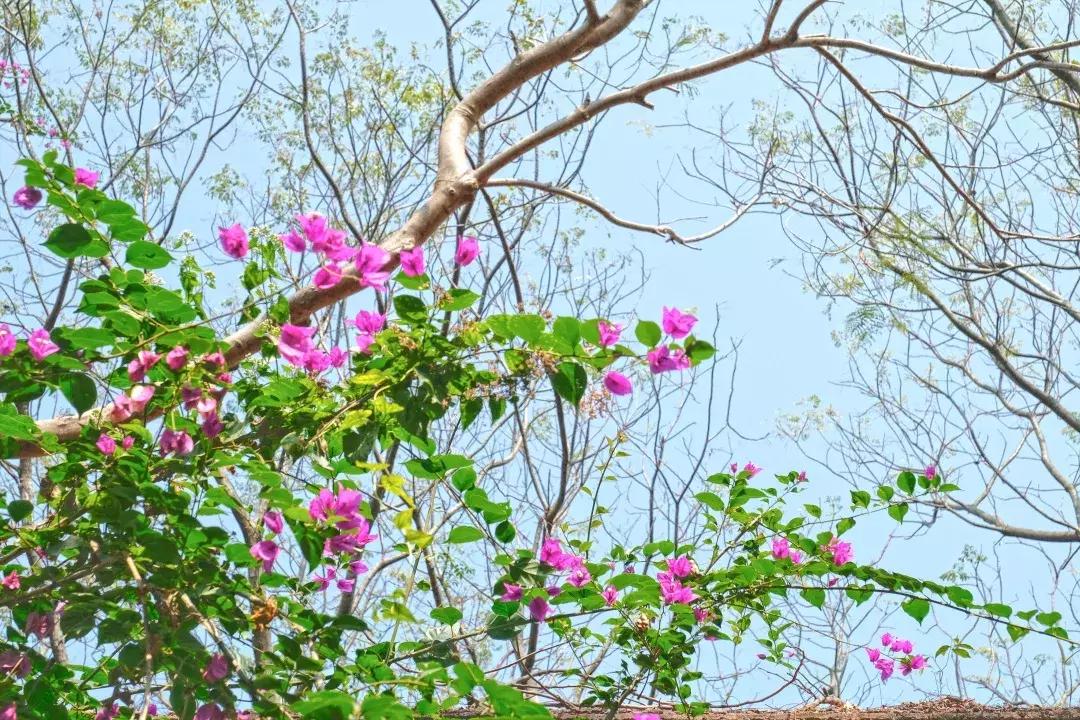 深圳世界之窗充满回忆,深圳世界之窗景点大全
