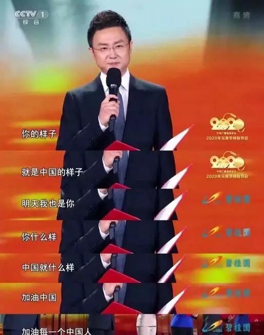 疫情过后白岩松最想做的三件事,白岩松疫情直播什么频道