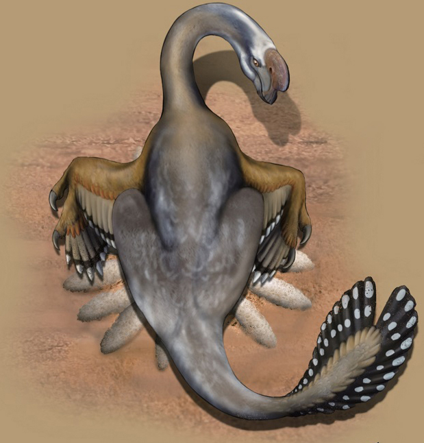 恐龙蛋化石里面有恐龙基因吗,关于恐龙蛋和恐龙化石的科普