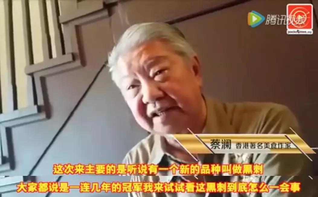 赌王派私人飞机买，蔡少芬怀孕也痴迷，凭啥它让*欲人**罢不能？