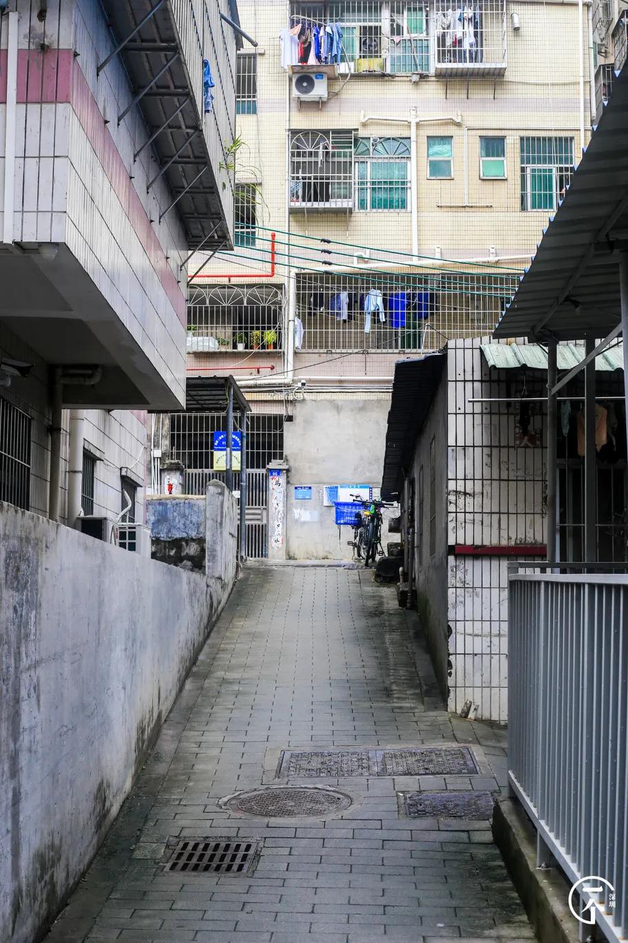 为啥珠光村房租便宜,深圳西丽珠光村房租如何