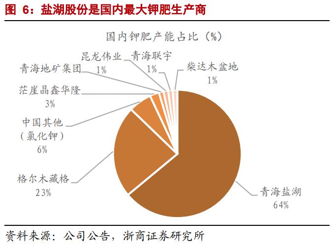 st盐湖的锂矿价值,st盐湖有望告捷吗