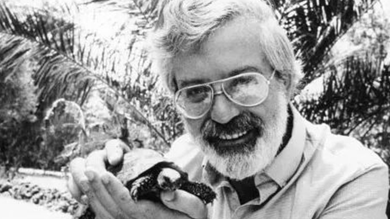 绘本才是真正合适孩子阅读的,绘本阅读七步法教你如何读绘本