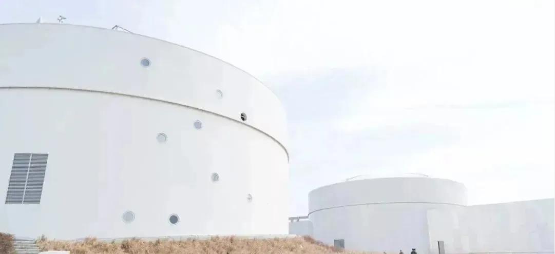 上海旅游攻略景区免费,上海免费旅游必去的地方