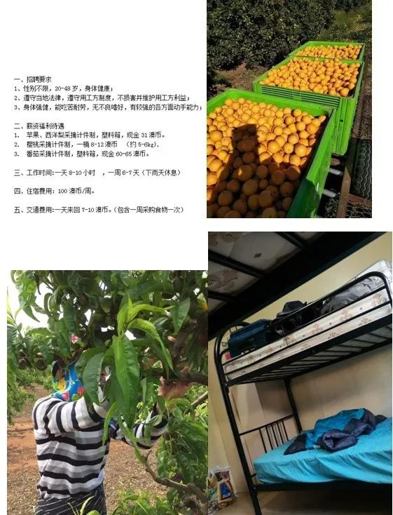 探讨那些“吃人不吐骨头”的出国劳务，被骗重灾区之澳大利亚