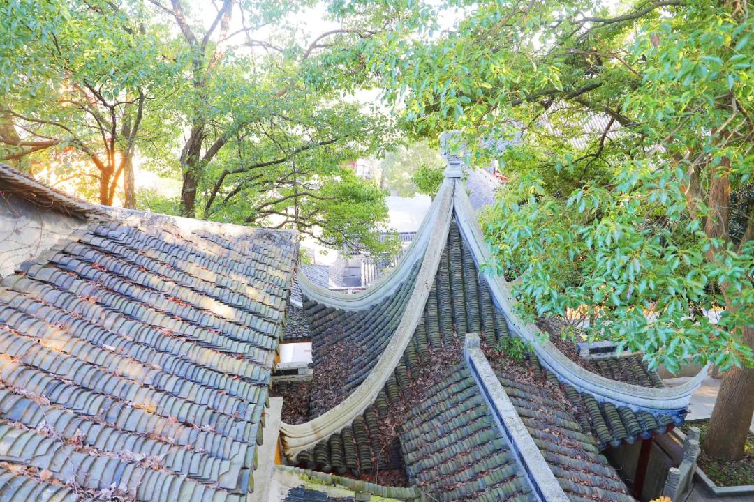 苏州西山农家乐民宿游,苏州西山农家乐旅游网官网