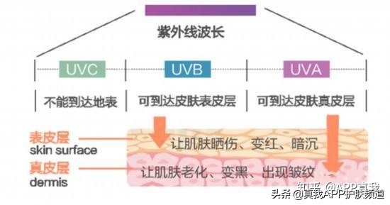 韩国男明星神仙颜值李栋旭,说不出的爱秀智李栋旭完全版