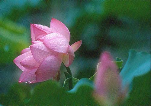 单反拍摄雨景技巧,拍雨景用什么摄影技巧