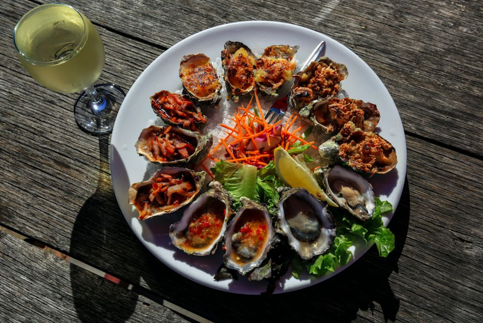 新西兰生蚝泛滥成灾,澳大利亚生蚝泛滥成灾