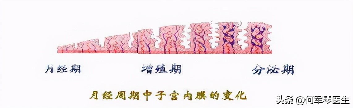 什么样的内膜影响怀孕,生化妊娠子宫内膜厚度