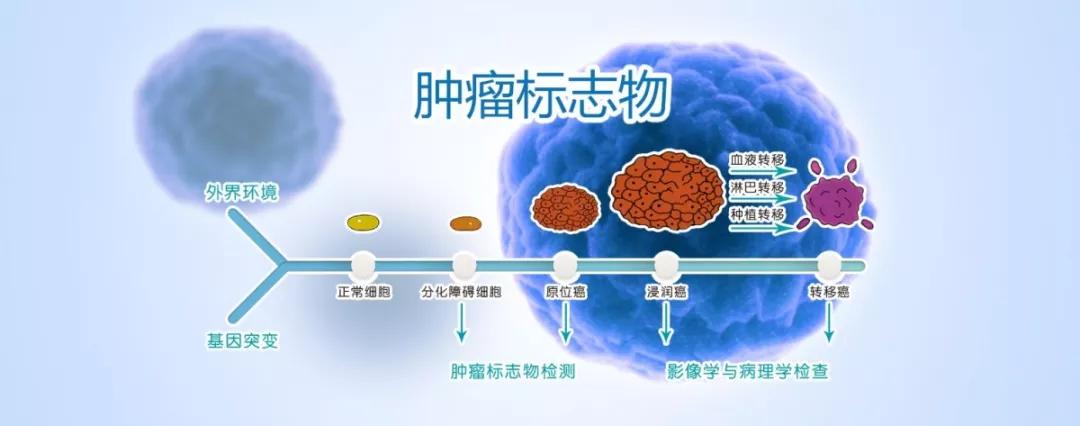 宫颈癌所有肿瘤标志物都持续升高,原位癌会导致肿瘤标志物升高吗