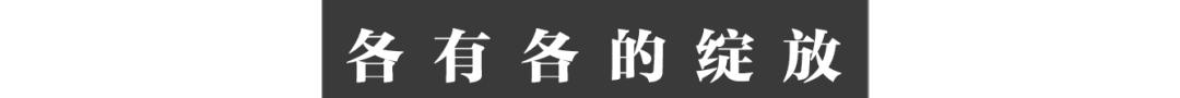 全红婵14岁拿到世界冠军,全红婵14岁拿奥运冠军破纪录