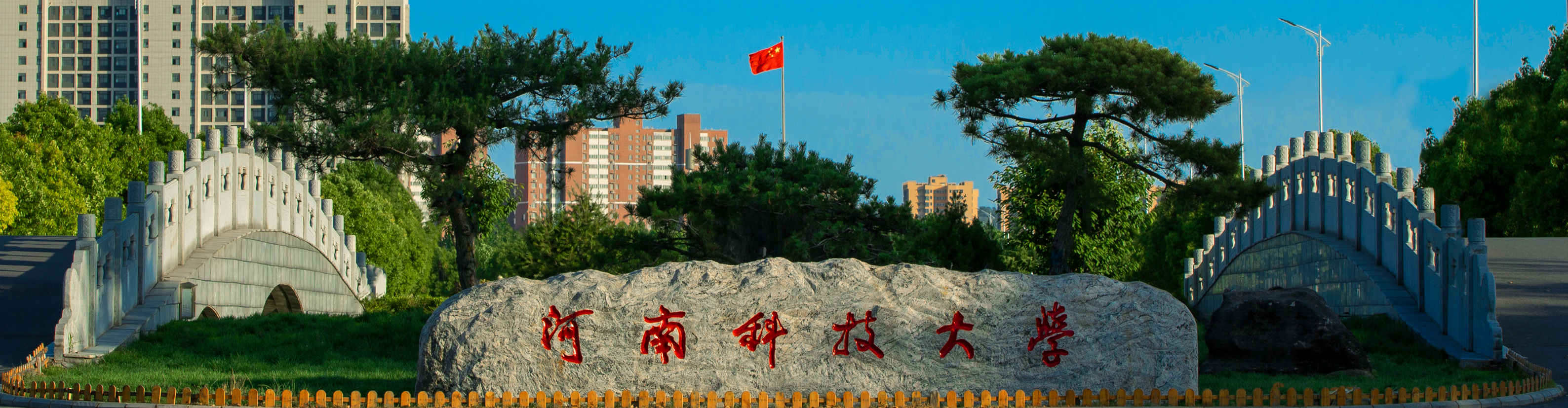 河南科技大学与徐州医科大学,河南科技大学医科专业录取分数线
