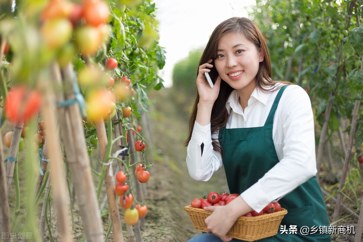合适乡镇创业的项目小本生意,最有前景的创业项目乡镇创业