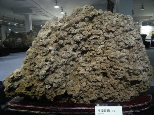 沙漠发现值钱石头是什么,在沙漠捡哪些稀有的石头