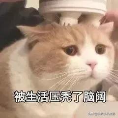 00后学什么技巧最好,发量少增发技巧