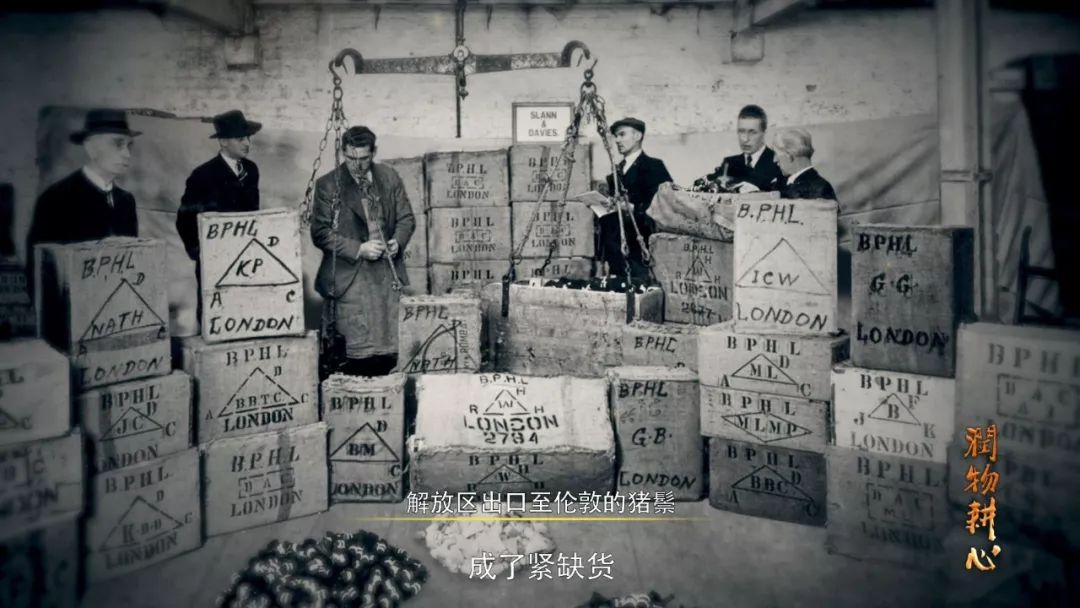 润物细无声：这家老店的探索史，就是共和国的崛起史