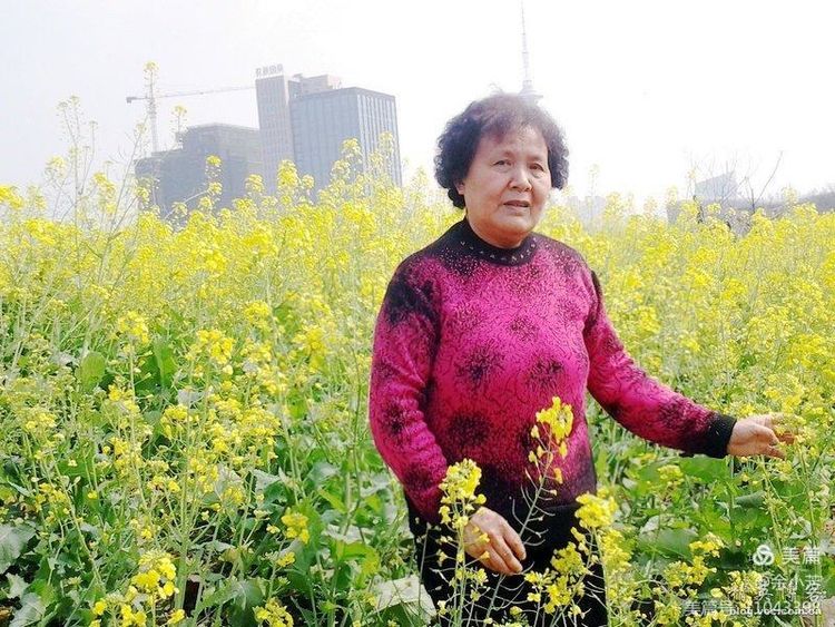 梦中的油菜花田,梦中的油菜花完全版