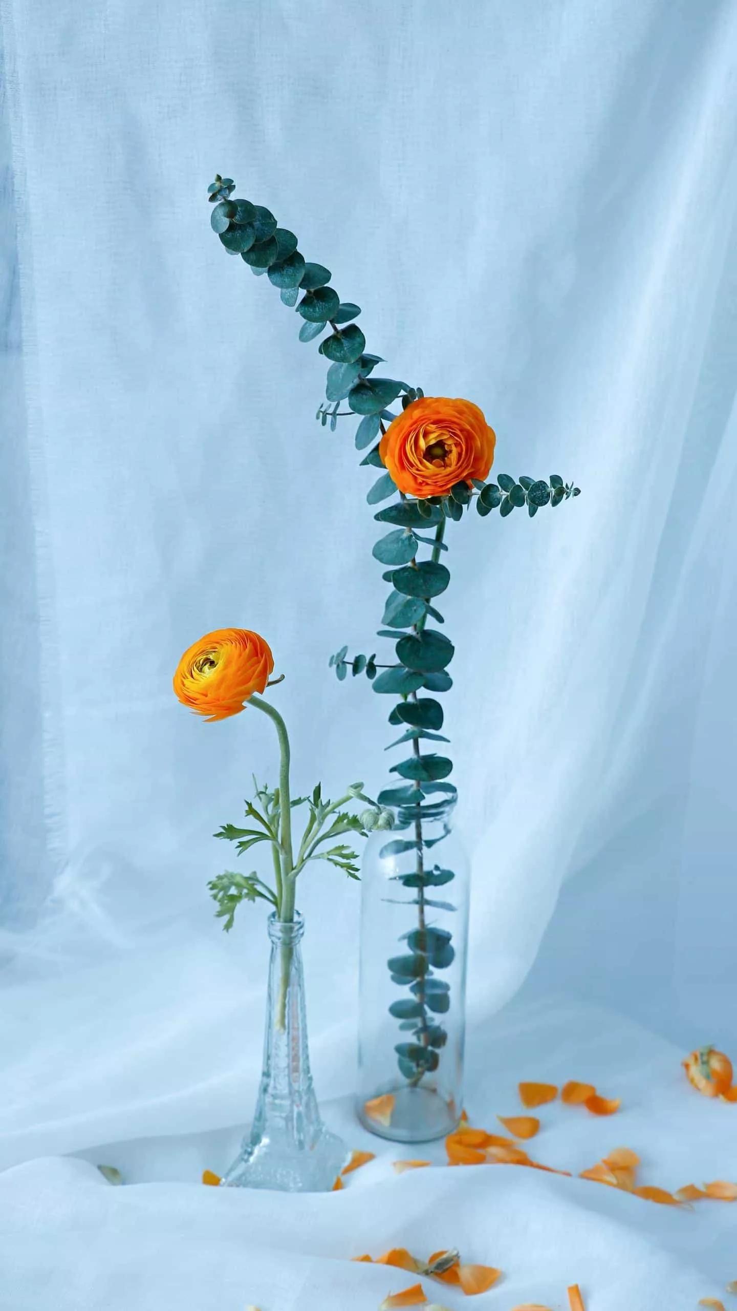 如何快速健康减肥20斤,快速健康减肥一日三餐