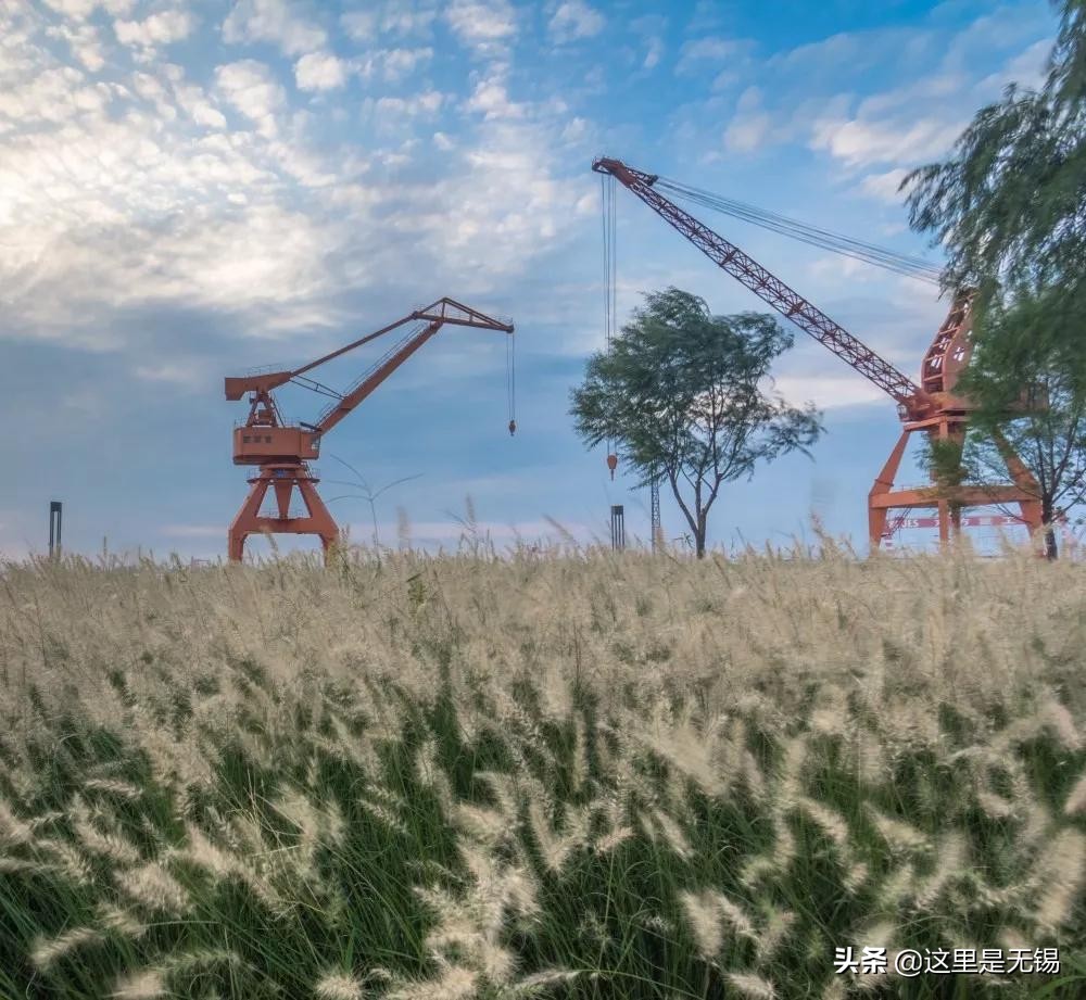 无锡秋游胜地最全推荐,无锡秋游自驾绝佳去处