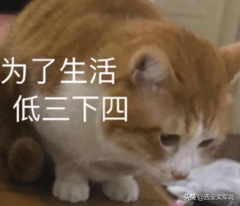 罚员工吃蚯蚓事件续,被罚生吃蚯蚓后续