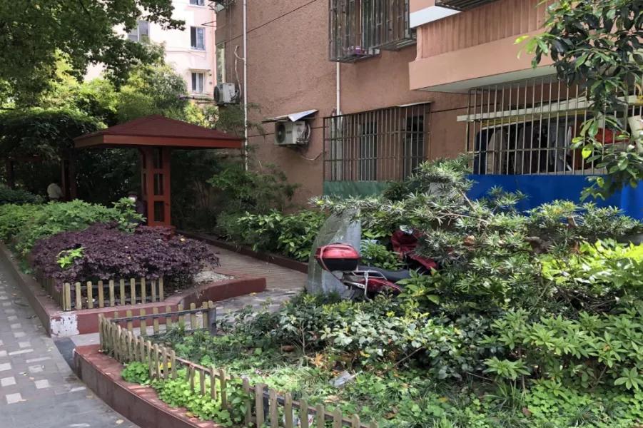 杨浦四平展区开幕，看点都在这一篇