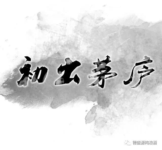 九龙醉38度浓香型白酒,五星级白酒浓香型52度