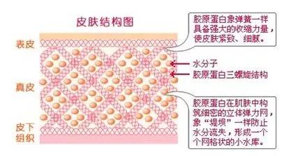 毛孔粗大最好的方法目前最有效的,毛孔粗大怎么缩小自然方法