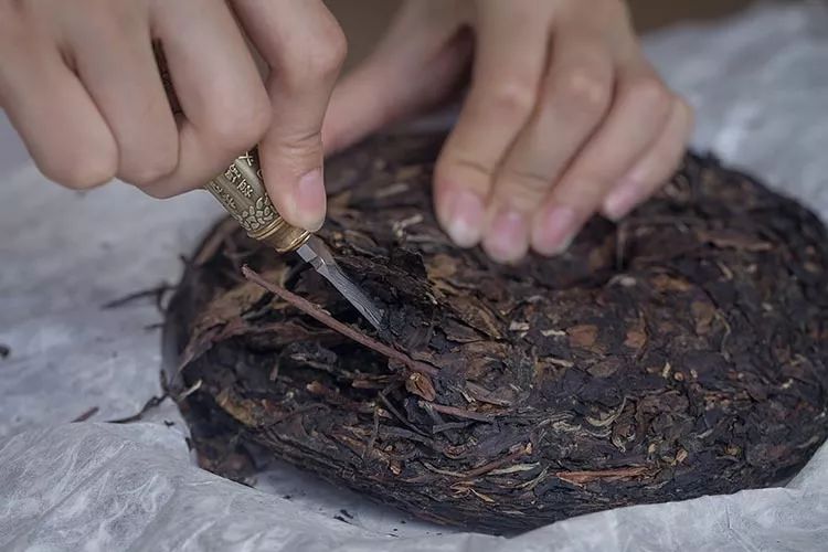白茶怎么分辨茶毫和发霉,散装白茶发霉是什么样子