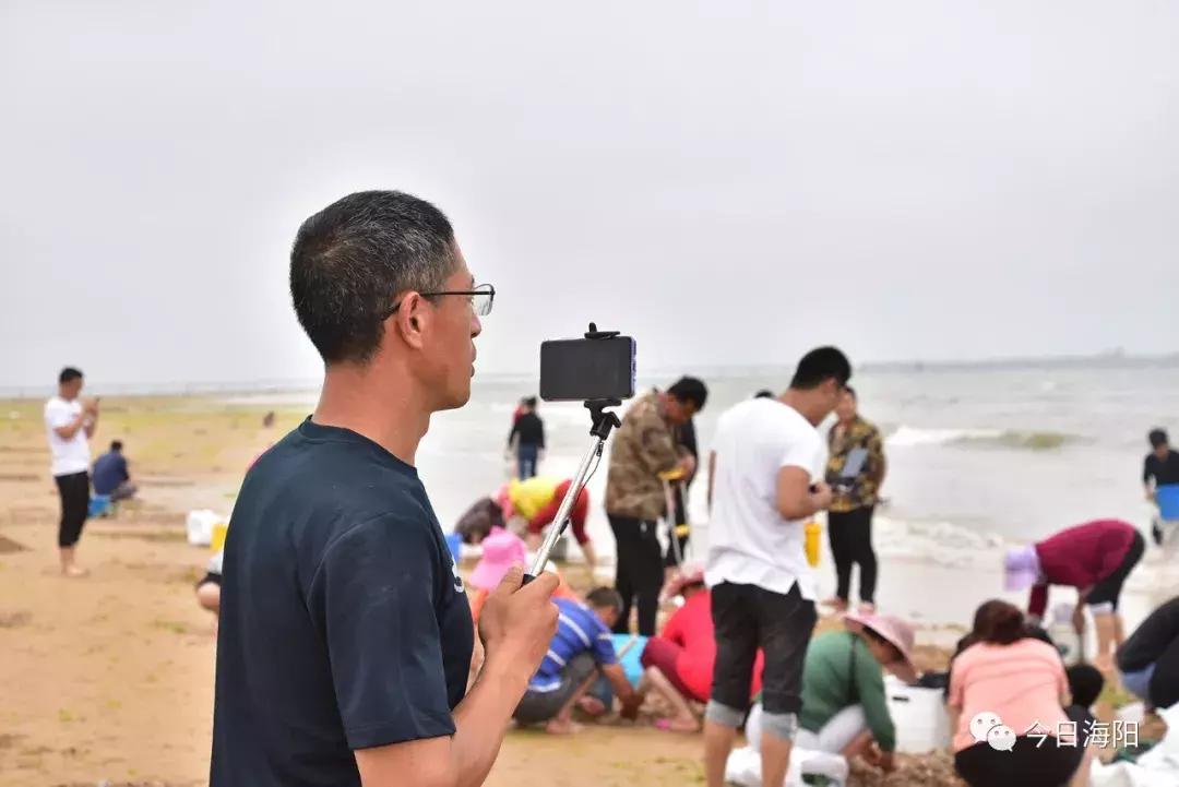 为什么烟台海边出现那么多海鲜,烟台的海为什么冒出那么多海鲜
