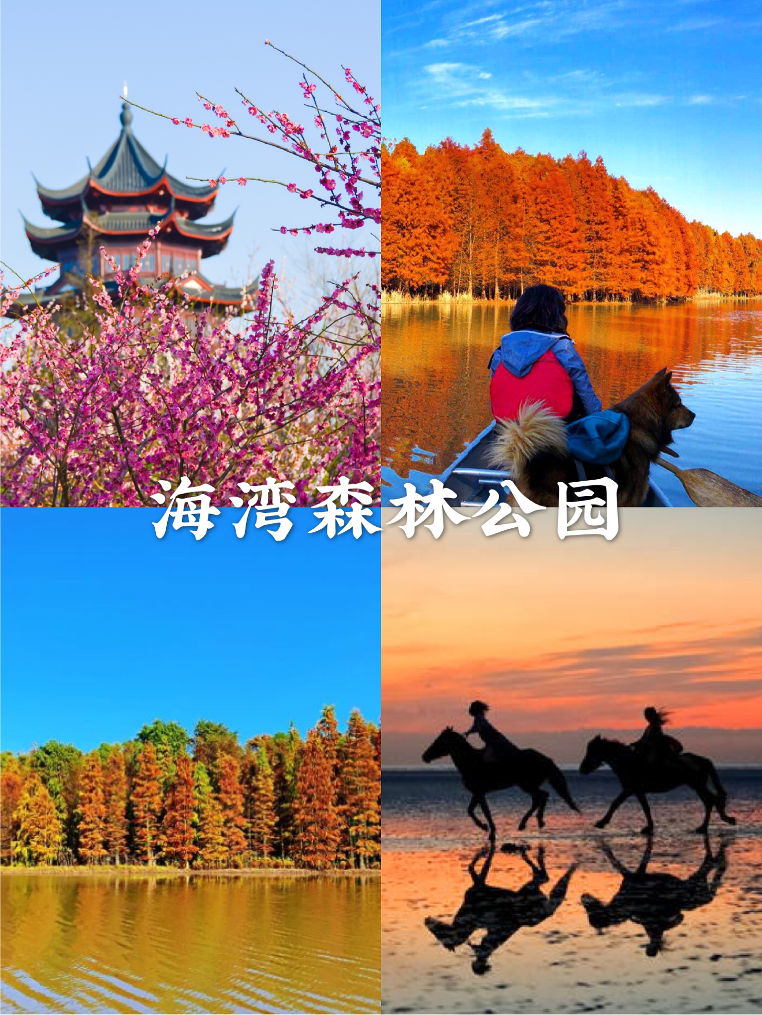 金秋上海最值得逛的公园,上海合适游玩的公园排行榜