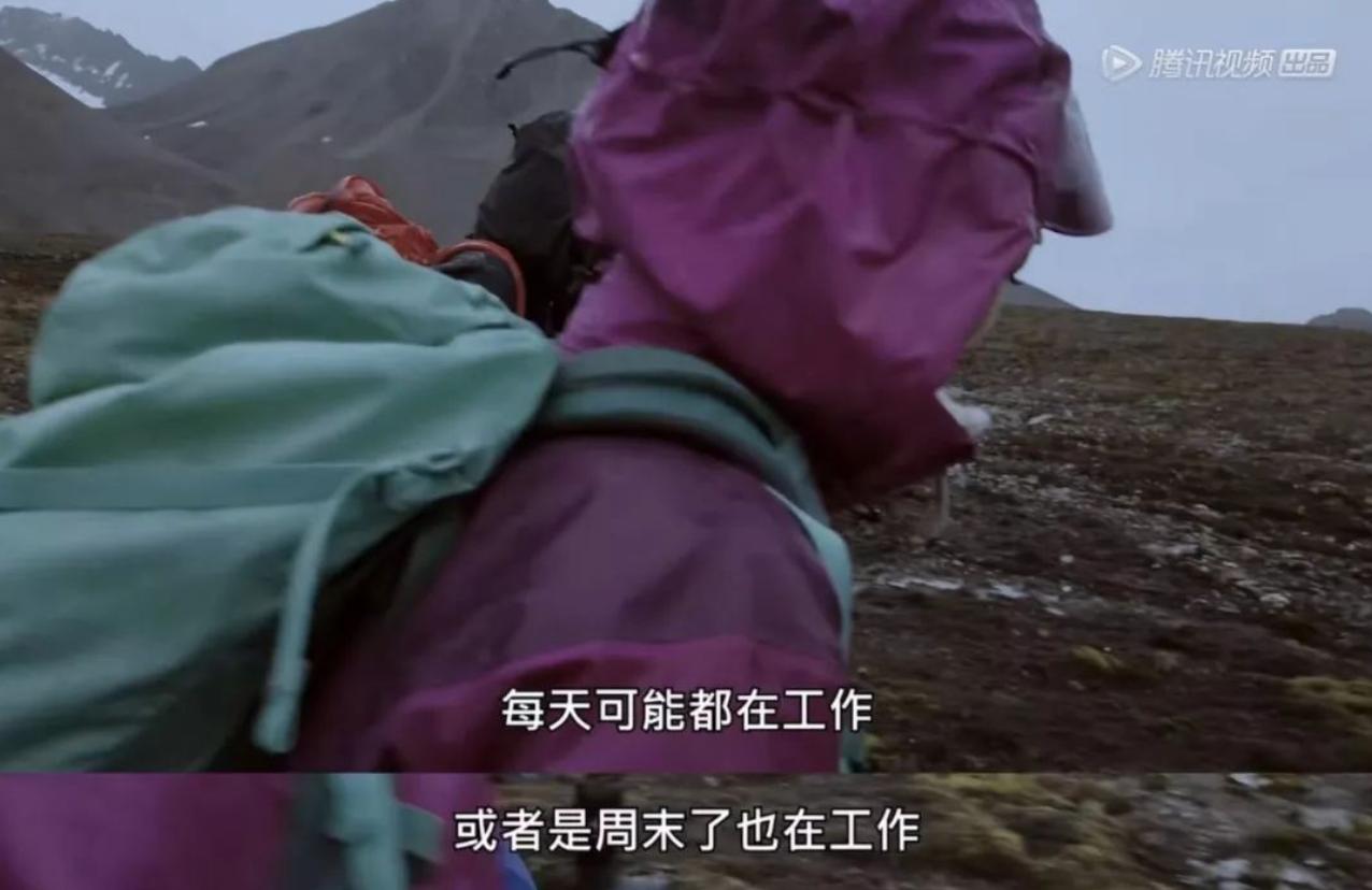 奇遇人生第二季刘雯阿雅,奇遇人生刘雯完全版免费观看