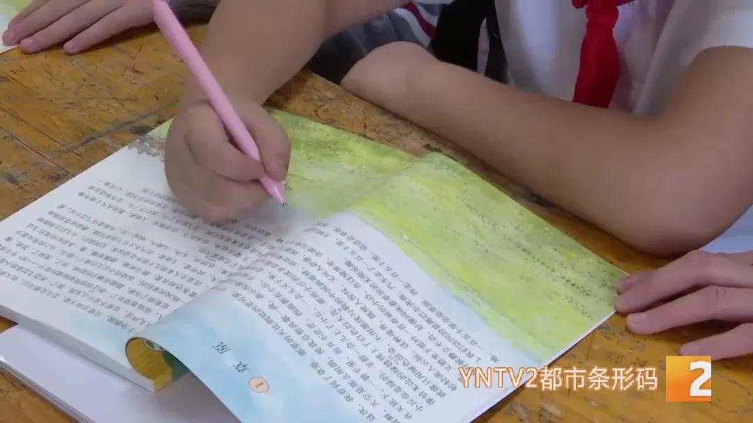 双减政策下的课后服务实施方案,双减政策鼓励培训机构课后托管